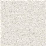 Kirkwall Calico