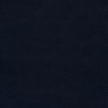 Canvas Indigo