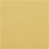 Canvas Sand