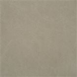 Canvas Taupe