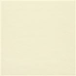 Canvas Cream