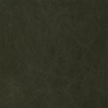 Canvas Loden