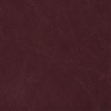 Canvas Sunbaked Red