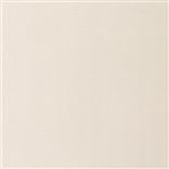 Polished Linen Cream