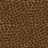 Odgen Leopard - Varnish