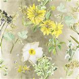 Madhuri - Birch Cutting Lithos