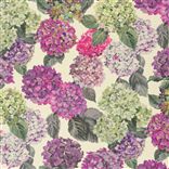 sudara lino - magenta