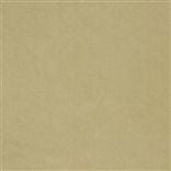 Cassia - Biscuit Cutting