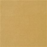 Cassia - Ocre coupe