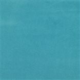 Cassia - Turquoise Cutting