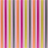 Archimia - Fuchsia Cutting