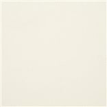 findon - chalk