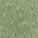 dhari - emerald