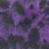 corcione - violet