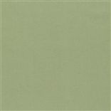 aquarelle - olive