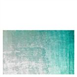 Eberson Aqua Rug