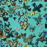 butterfly parade - lagon
