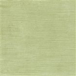 Mesilla - Lime Cutting