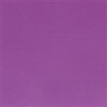 tiber - berry