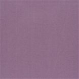tiber - crocus