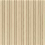 cedar point stripe - shell