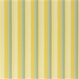 Greenport Stripe - Jaune coupe / vert