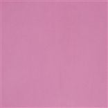 tanara - peony
