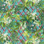 Canopy - Turquouise Lithos