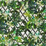 Canopy - Malachite Lithos