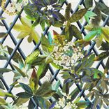 Canopy - Saphir Cutting