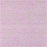torlonia - wisteria