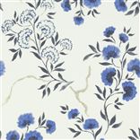 Jacaranda - Delft Large Sample