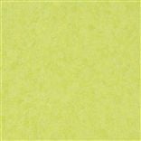 mayura - lime