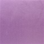 Mezzola - coupe Amethyst