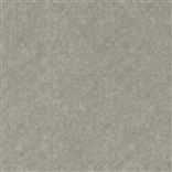serego - pewter