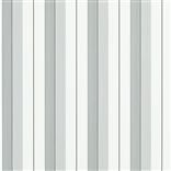 Aiden Stripe - Black / Grey Large Sample
