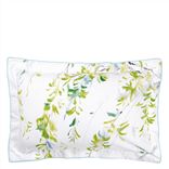 Willow Acacia Shams
