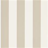 spalding stripe - cream / laurel