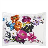 Amrapali Peony King Sham