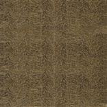 argento - bronze