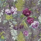 tulipani - amethyst