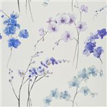 orchidea - lavender