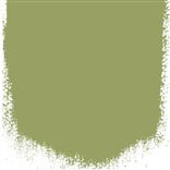 ASPARAGUS FERN - PERFECT MATT EMULSION - 2.5LTR