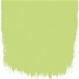 LIME TREE - PERFECT MATT EMULSION - SAMPLE POT