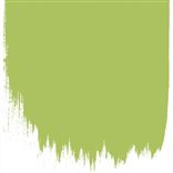 GREEN APPLE - FLOOR PAINT - 2.5LTR