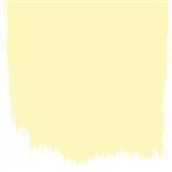 PRIMROSE - PERFECT MATT EMULSION - SAMPLE POT