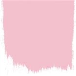 DIANTHUS PINK - PERFECT MATT EMULSION - SAMPLE POT