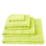 Coniston Acacia Hand Towel