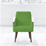 Ray - Chair - Walnut Leg - Cassia Grass