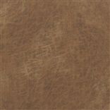 Tundra - Spice